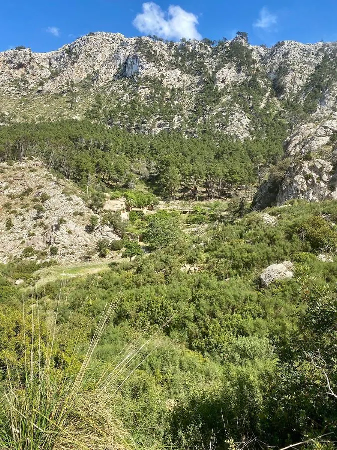 Finca Ses Fontanelles أندراتكس بيت ضيافة