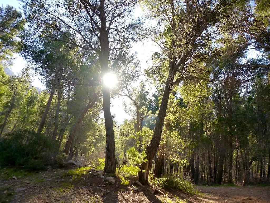 Finca Ses Fontanelles أندراتكس إسبانيا