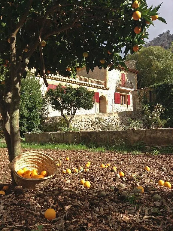 Finca Ses Fontanelles أندراتكس إسبانيا