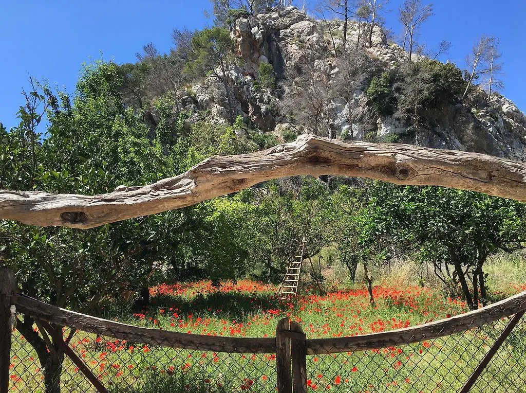 Finca Ses Fontanelles أندراتكس إسبانيا