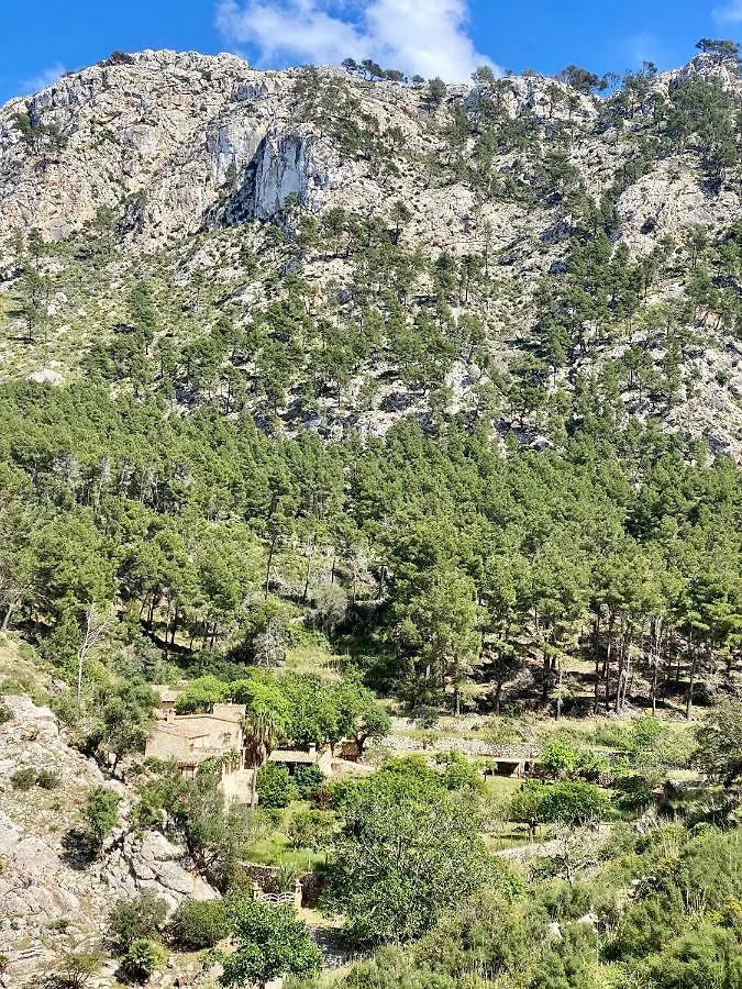 Finca Ses Fontanelles Andraitx