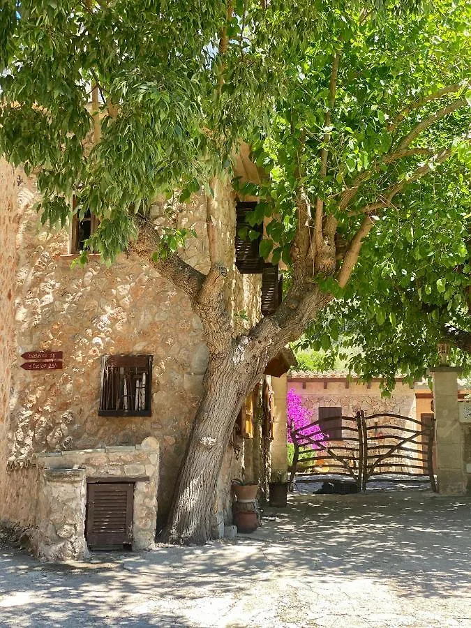 Finca Ses Fontanelles Andraitx Penzion
