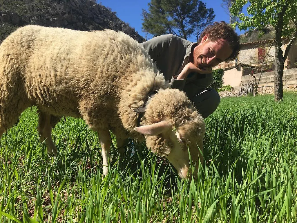 Penzion Finca Ses Fontanelles Andraitx Španělsko